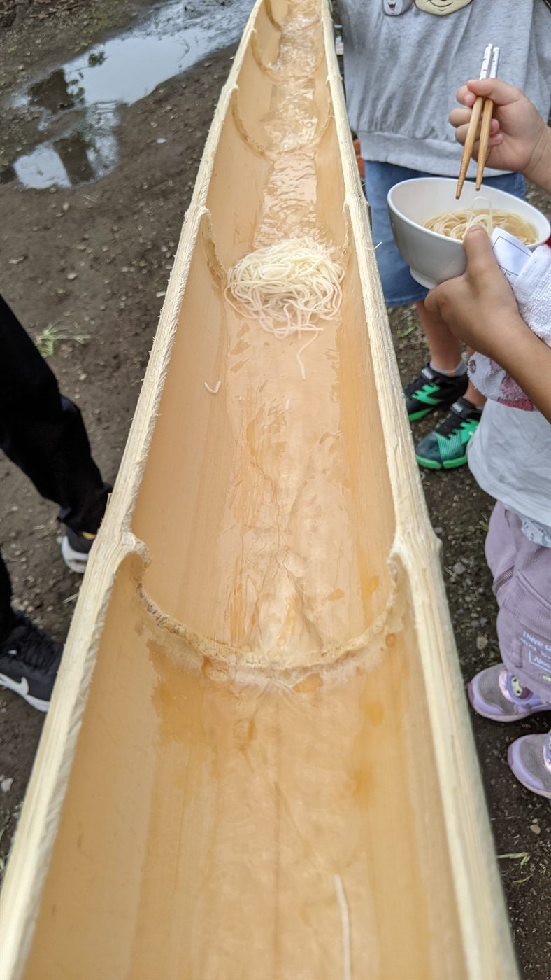 本物の青竹を割って作ったそうめん流しの樋。水と一緒にそうめんが流れている